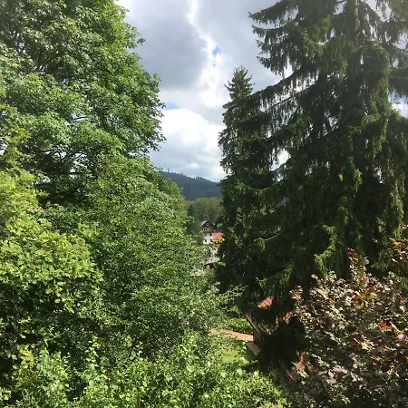 Waldhexe Apartament Braunlage